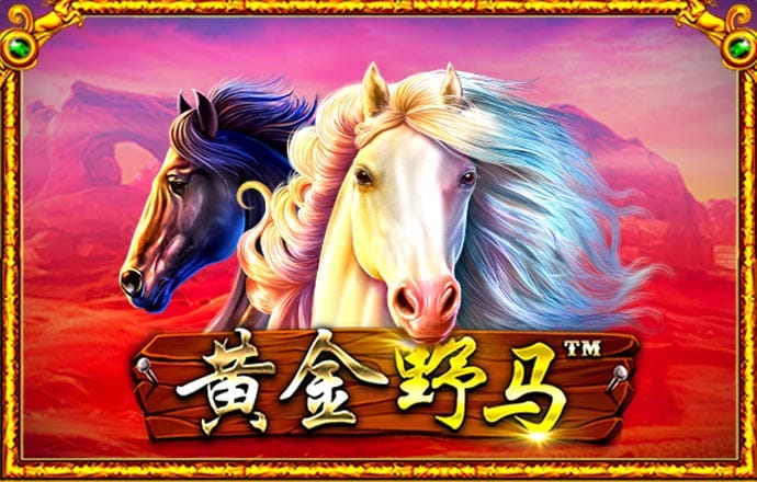 高云体育登录入口